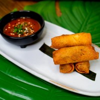 Deep Fried Spring Rolls - Kow Restaurant